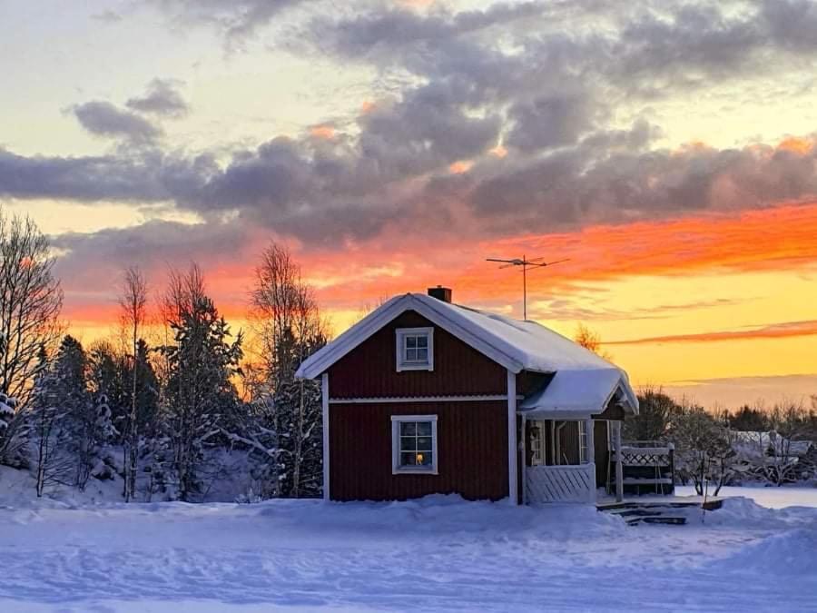 Guesthouse Ojebyn Екстериор снимка